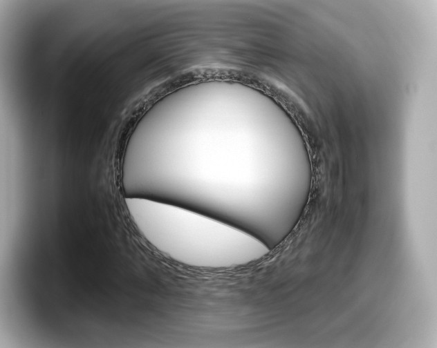 X0000099400870200805081239