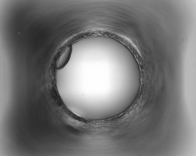 X0000099400871200805081239