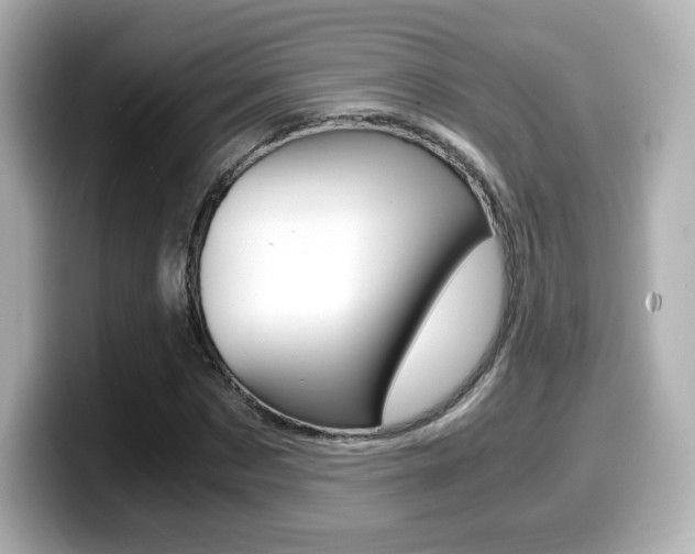 X0000099400873200805081239
