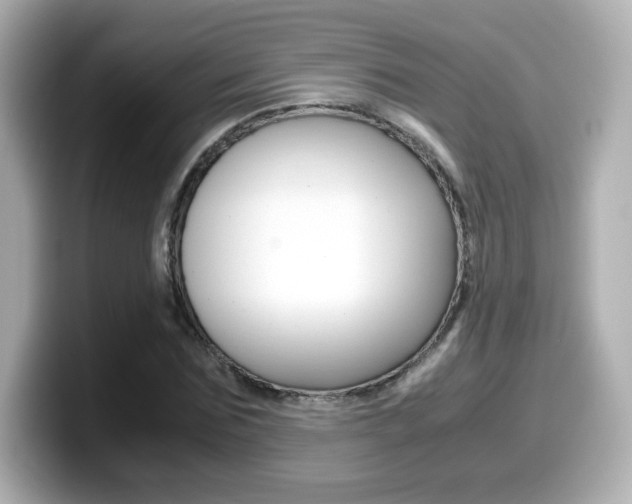 X0000099400875200805081239