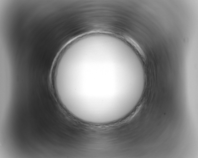 X0000099400876200805081239