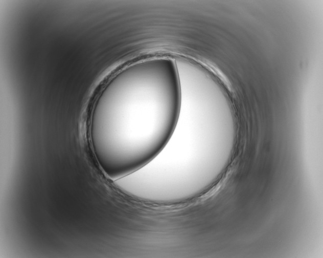 X0000099400877200805081239