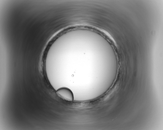 X0000099400879200805081239
