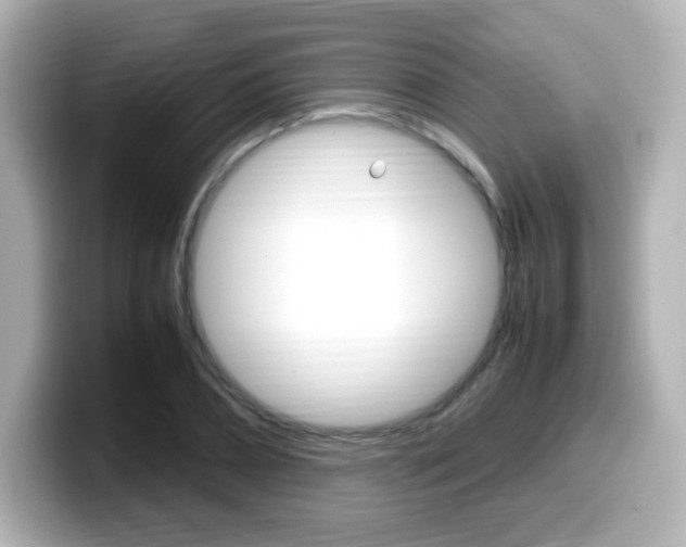 X0000099400882200805081239