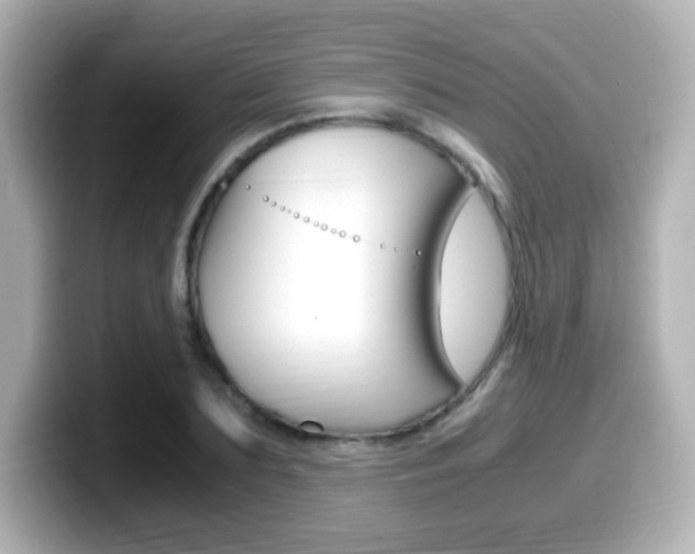 X0000099400883200805081239