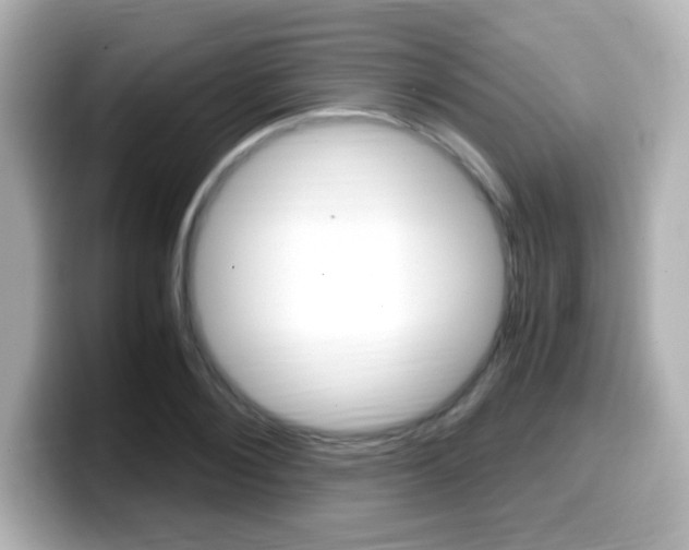 X0000099400884200805081239