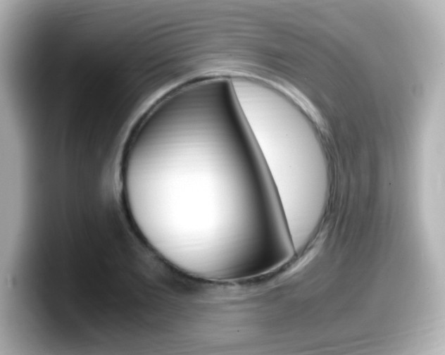X0000099400885200805081239
