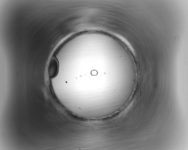 X0000099400887200805081239
