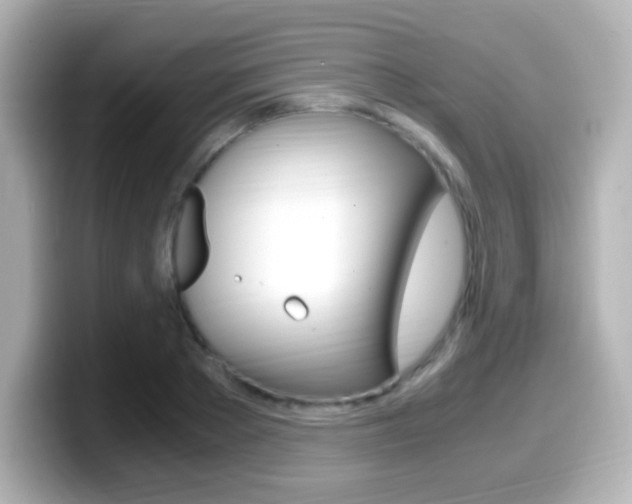 X0000099400889200805081239