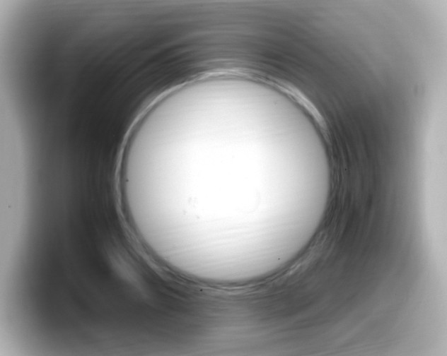 X0000099400890200805081239