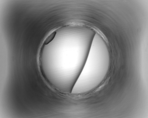 X0000099400893200805081239
