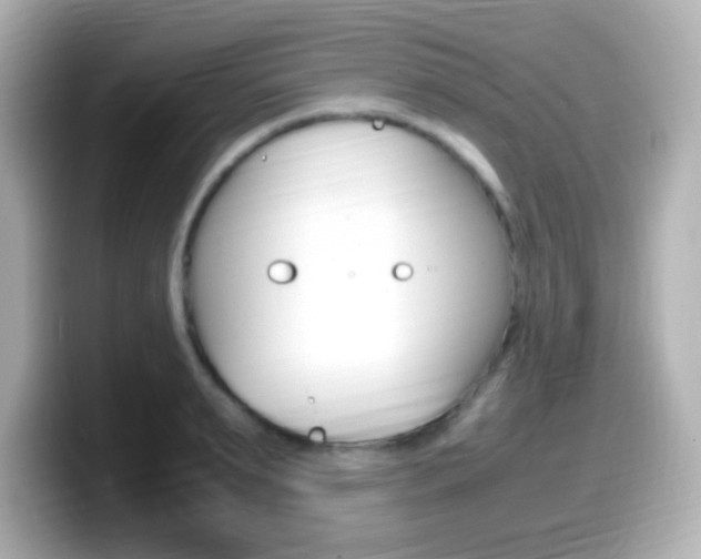 X0000099400895200805081239