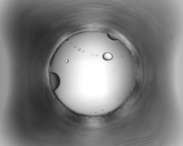 X0000099400899200805081239