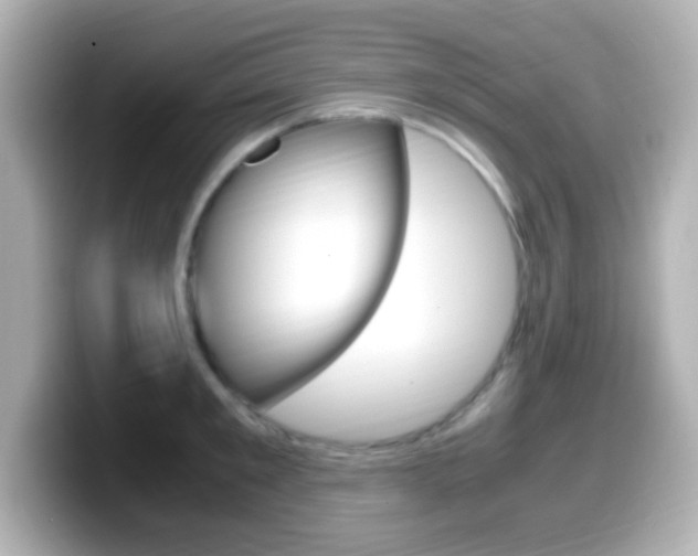X0000099400901200805081239