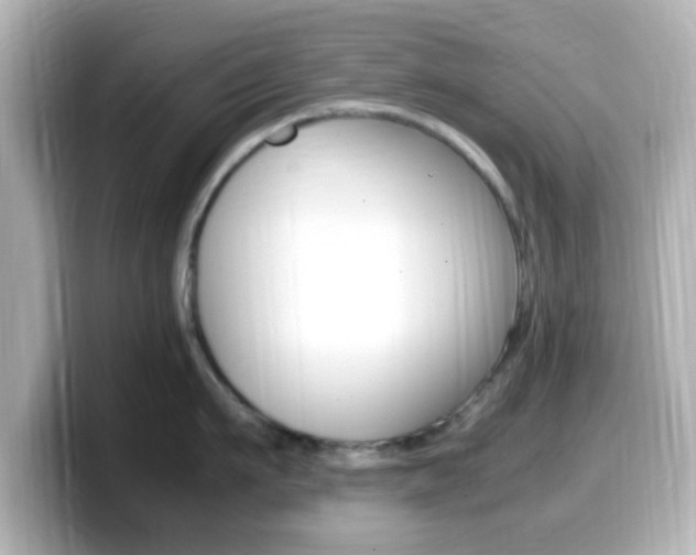 X0000099400911200805081239