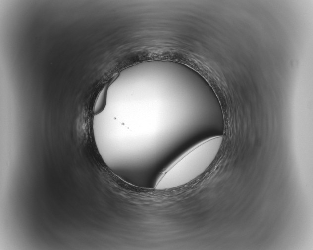 X0000099400914200805081238