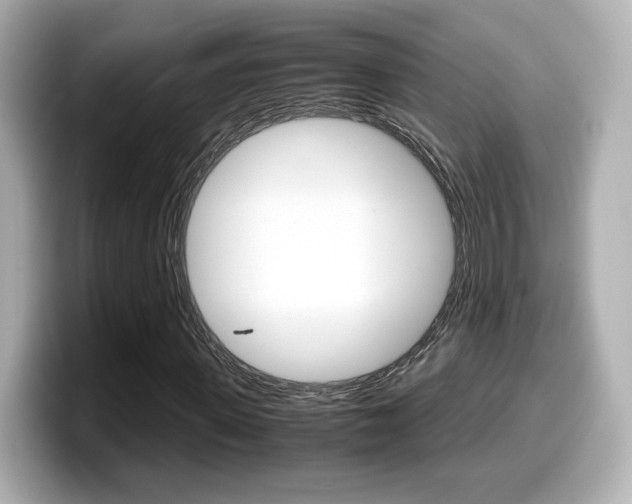 X0000099400915200805081238