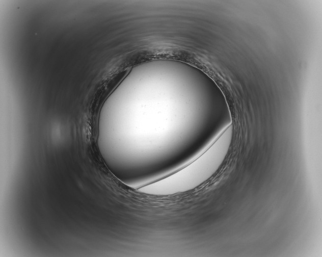 X0000099400916200805081238