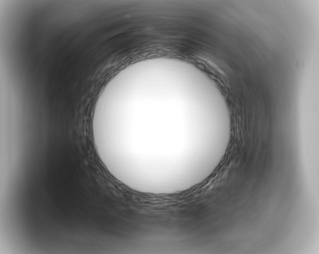 X0000099400917200805081238