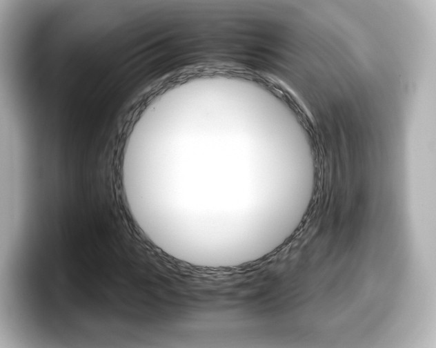 X0000099400919200805081238