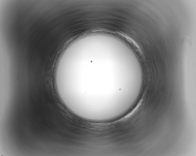 X0000099400921200805081238