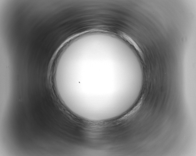 X0000099400923200805081238
