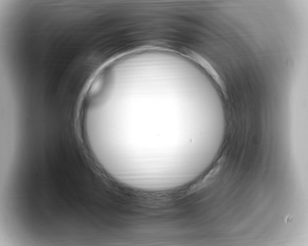 X0000099400931200805081238