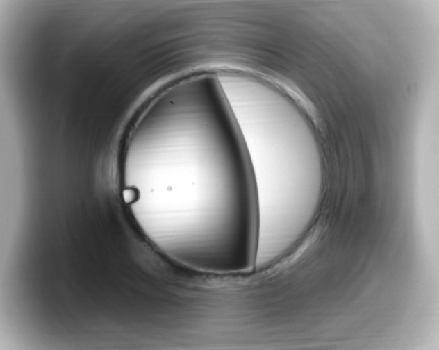 X0000099400934200805081238