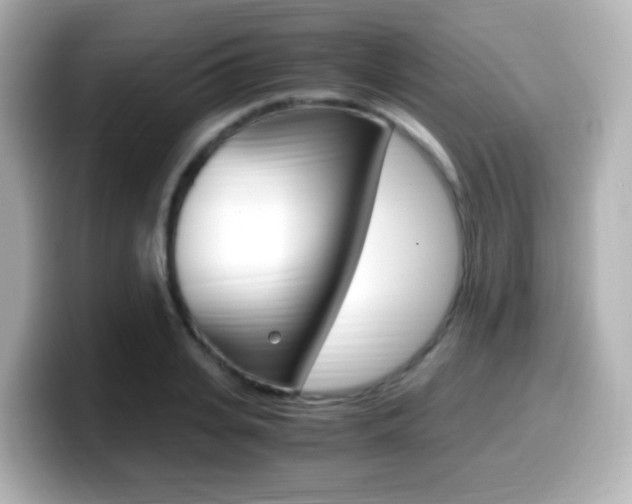 X0000099400935200805081238