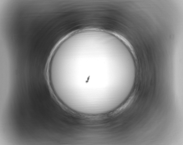 X0000099400941200805081238