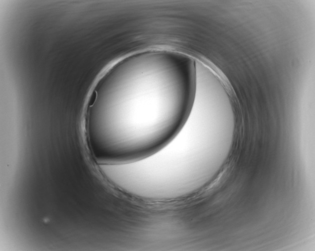 X0000099400956200805081239