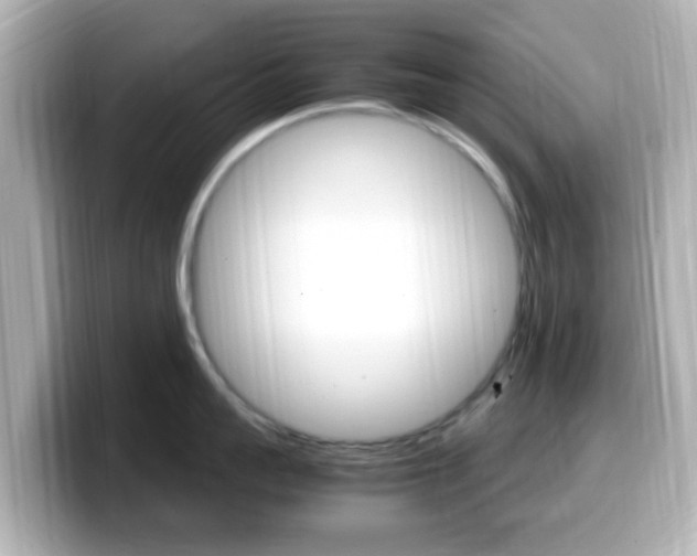 X0000099400959200805081239
