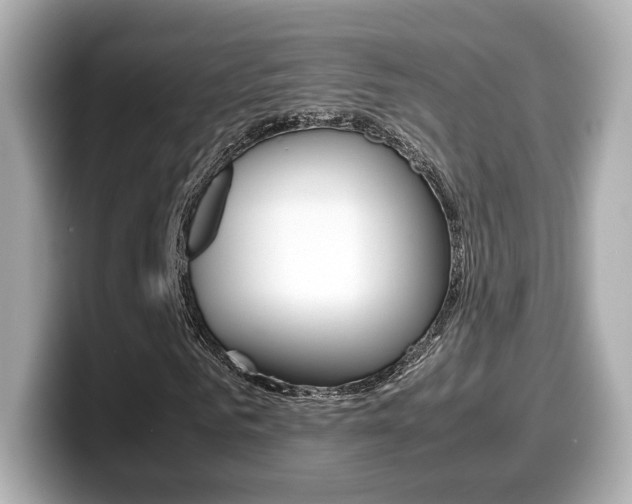 X0000099400961200805081238