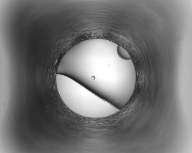 X0000099400962200805081238