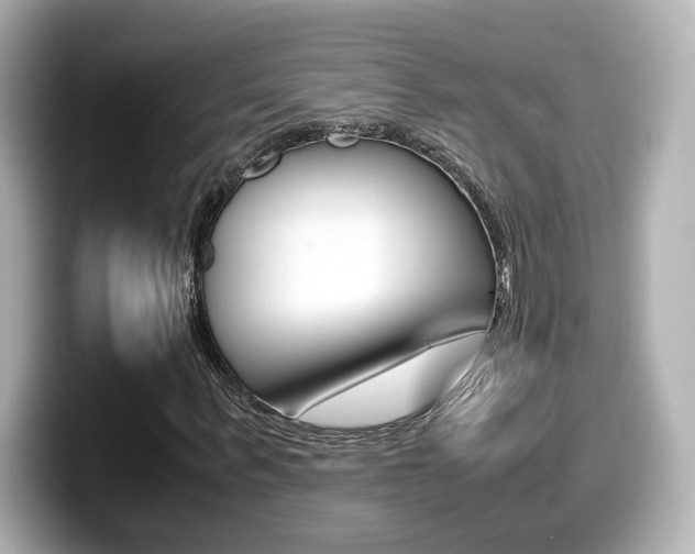 X0000099400963200805081238