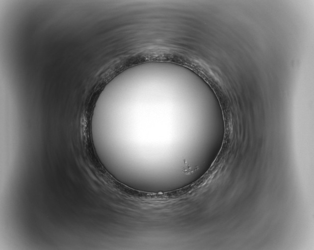 X0000099400964200805081238