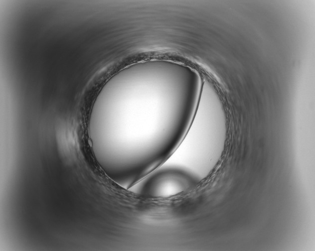 X0000099400967200805081238