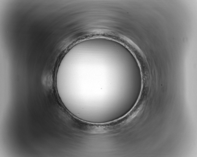 X0000099400969200805081238