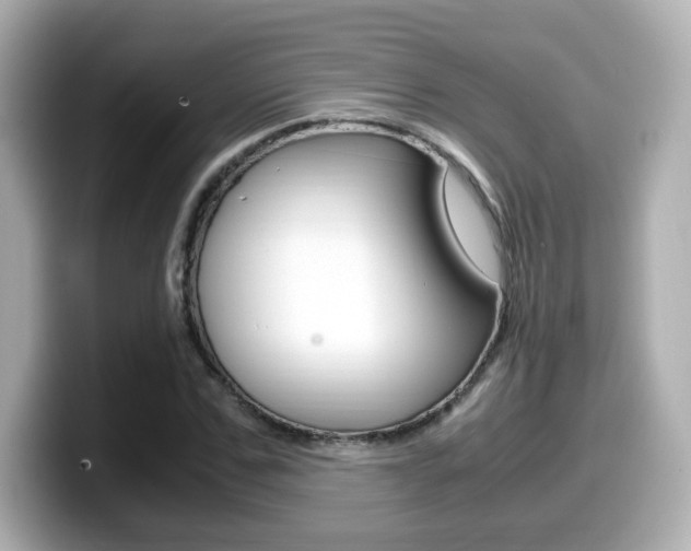 X0000099400971200805081238