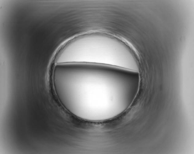 X0000099400975200805081238