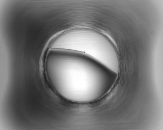 X0000099400979200805081238