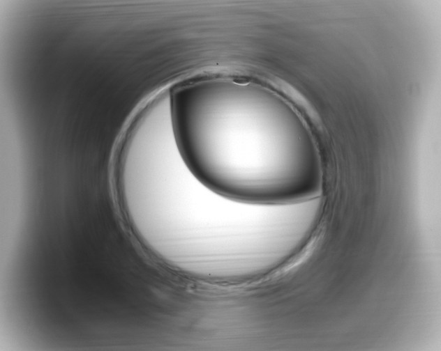 X0000099400981200805081238