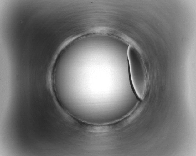 X0000099400989200805081238