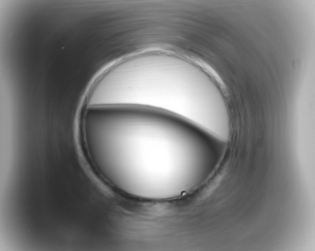 X0000099400991200805081238
