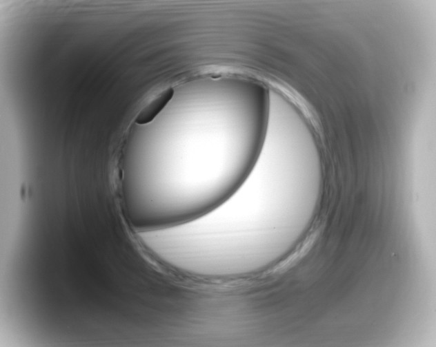 X0000099400993200805081237