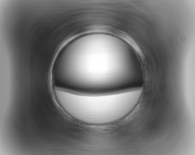 X0000099400996200805081237