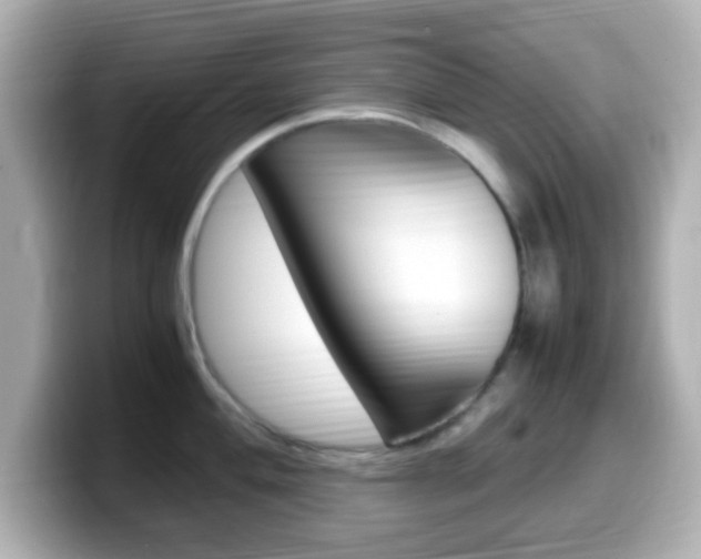 X0000099401004200805081237