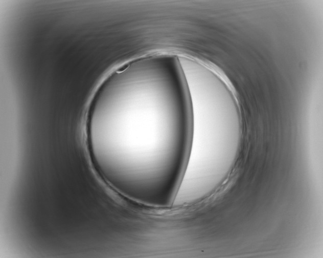X0000099401005200805081237