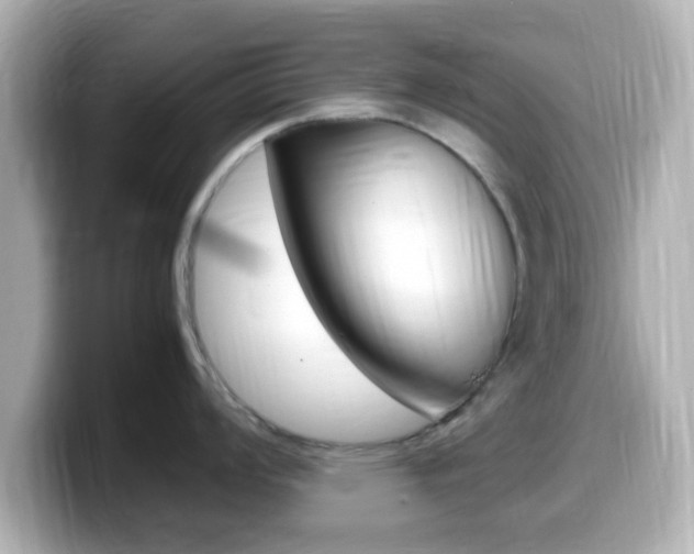 X0000099401008200805081237