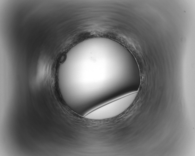 X0000099401012200805081237